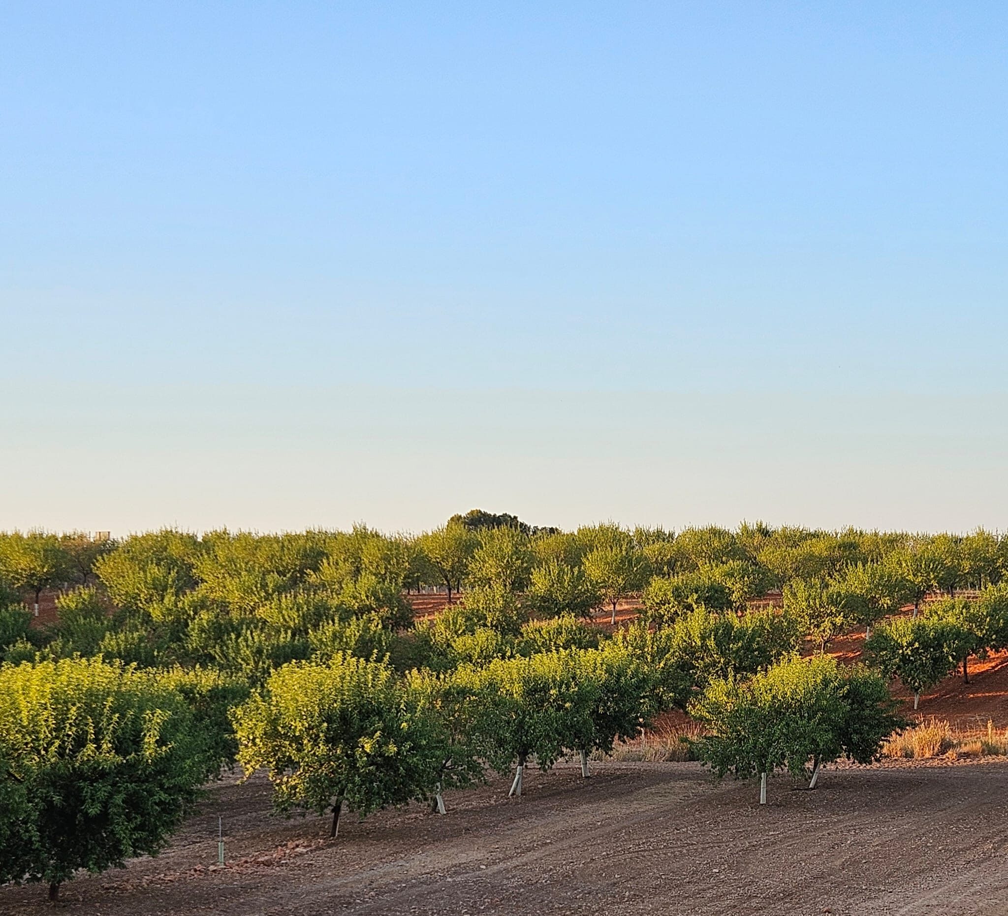 WhatsApp Image 2025 08 08 at 13.05.22 1