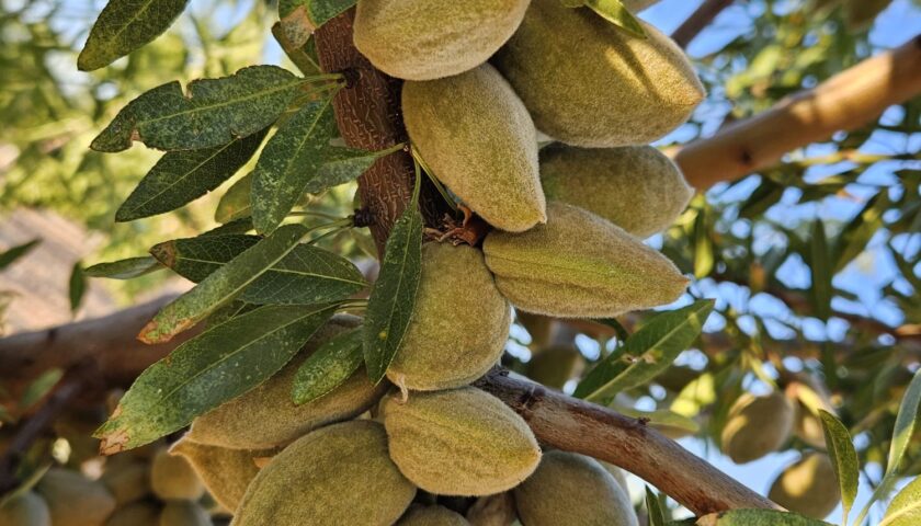 WhatsApp Bild 2025-08-08 um 13.05.57 (1)