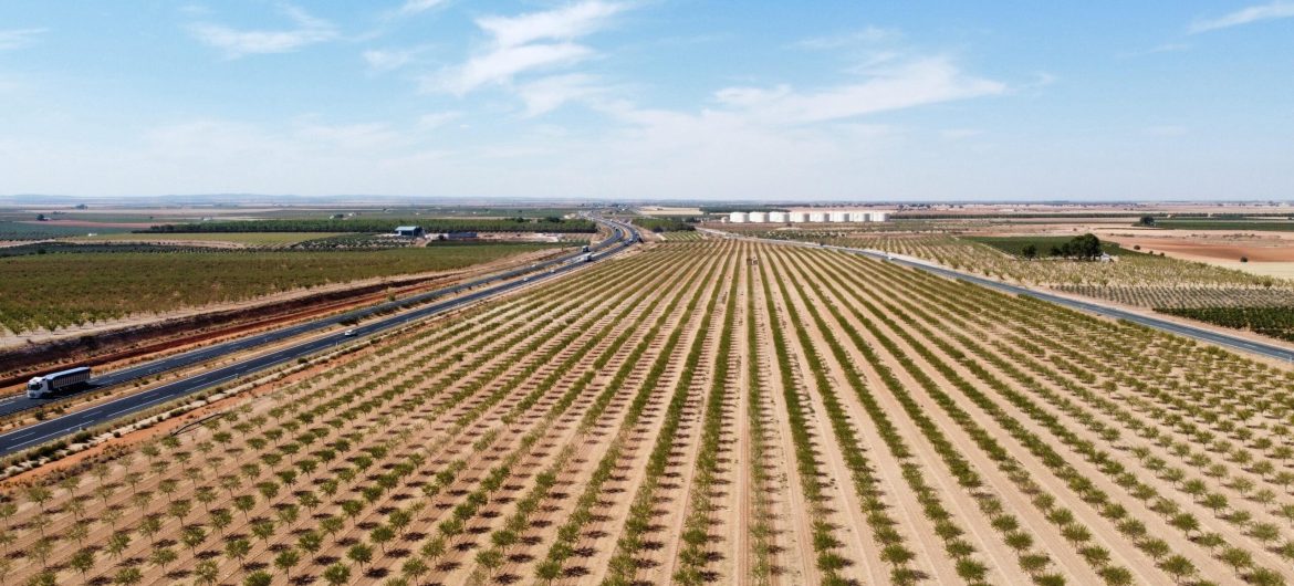 WhatsApp Image 2025-09-17 at 17.18.04